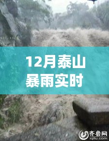 泰山暴雨下的励志之旅，实时动态与自信力量的展现