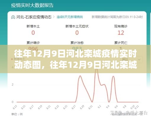 往年12月9日河北栾城疫情实时动态图详解与测评介绍