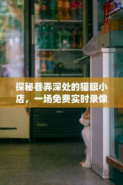 巷弄深处的猫眼小店，免费实时录像的奇妙探险