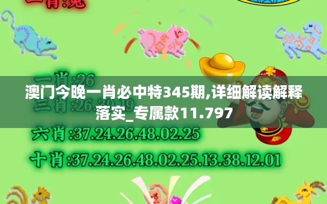 澳门今晚一肖必中特345期,详细解读解释落实_专属款11.797