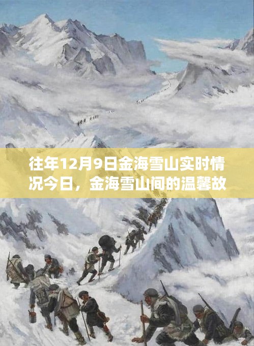 金海雪山奇遇，温馨故事与实时记录揭秘的奇遇日