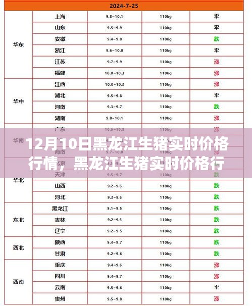 黑龙江生猪实时价格行情解析，12月10日市场观察报告