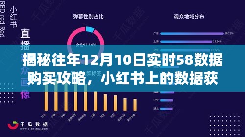 小红书揭秘，往年12月10日实时58数据购买攻略大揭秘！