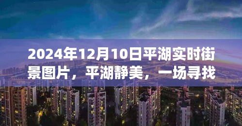 平湖静美之旅，寻找内心平静的街景美图（平湖实时街景图片，2024年12月10日）