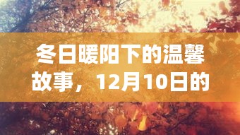 冬日暖阳下的特殊记忆，温馨故事，12月10日的回忆