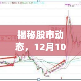 揭秘股市动态，最新股票实时成交量分析报告（12月10日）