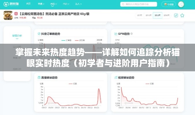 掌握未来热度趋势，猫眼实时热度追踪分析与解读（初学者与进阶指南）