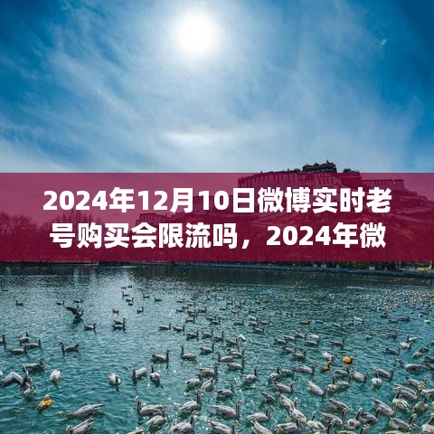 微博老号购买实时分析，限流风险与应对策略（2024年）