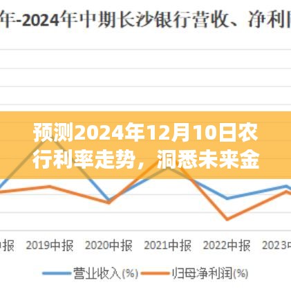 洞悉未来金融走势，预测农行利率趋势与微妙变化的金融市场分析（2024年12月10日）