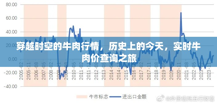 穿越时空的牛肉行情，历史价格查询与实时价格之旅