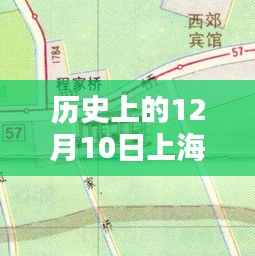 历史上的12月10日上海浦东路况实时地图，全面评测与详细介绍