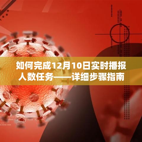 详细步骤指南，如何完成12月10日实时播报人数任务