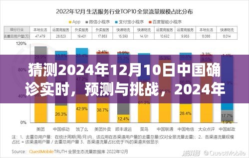 2024年12月10日中国确诊实时预测与展望，挑战与前景