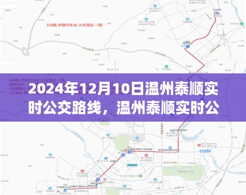 2024年12月10日温州泰顺实时公交路线解析