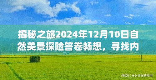 揭秘之旅，自然美景探险答卷畅想，探寻内心的宁静与远方（2024年12月10日）