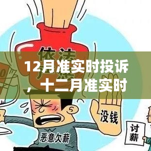 深度剖析，十二月准实时投诉风暴的背景、事件与影响全解析