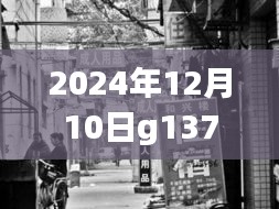 探秘G1371特色小店，实时追踪小巷深处的独特风味故事（2024年12月10日）