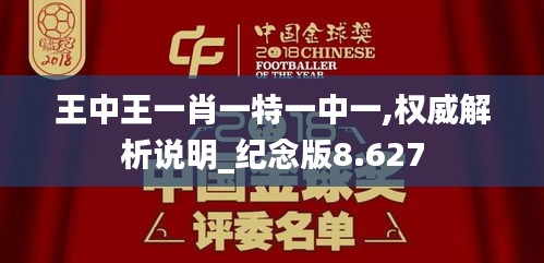 王中王一肖一特一中一,权威解析说明_纪念版8.627