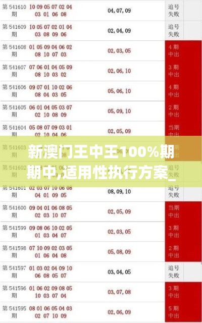 新澳门王中王100%期期中,适用性执行方案_黄金版14.860