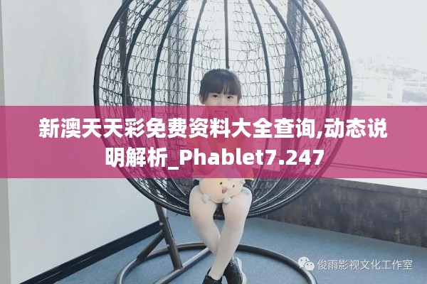 新澳天天彩免费资料大全查询,动态说明解析_Phablet7.247