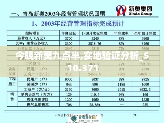 今晚新奥九点半,实地验证分析_S10.371