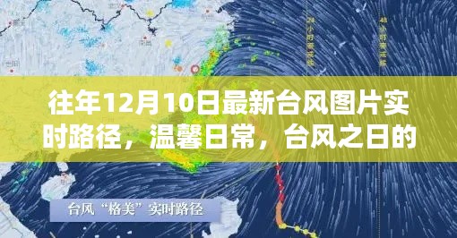 2024年12月11日 第94页