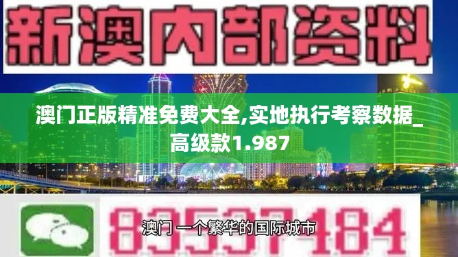 澳门正版精准免费大全,实地执行考察数据_高级款1.987