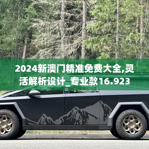 2024新澳门精准免费大全,灵活解析设计_专业款16.923