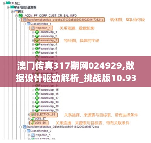 澳门传真317期网024929,数据设计驱动解析_挑战版10.936