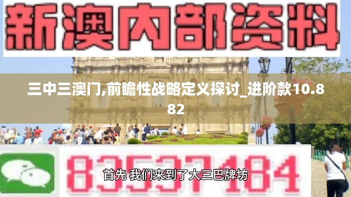 三中三澳门,前瞻性战略定义探讨_进阶款10.882