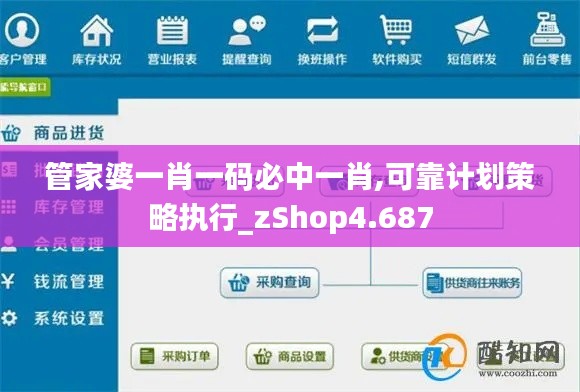 管家婆一肖一码必中一肖,可靠计划策略执行_zShop4.687