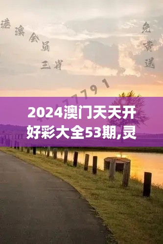 2024澳门天天开好彩大全53期,灵活解析方案_4DM12.408