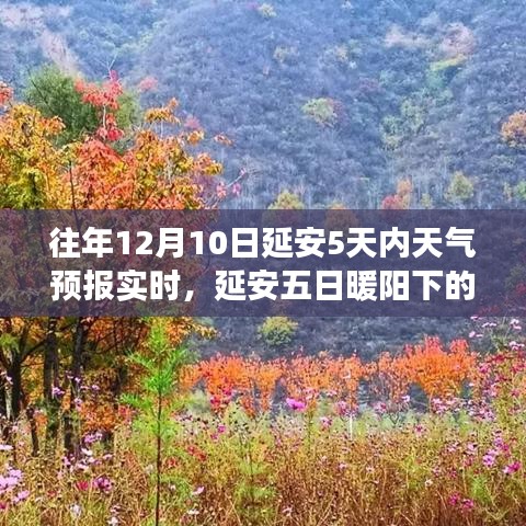 延安五日天气预报，暖阳下的温情故事与家的温暖时刻（实时更新）