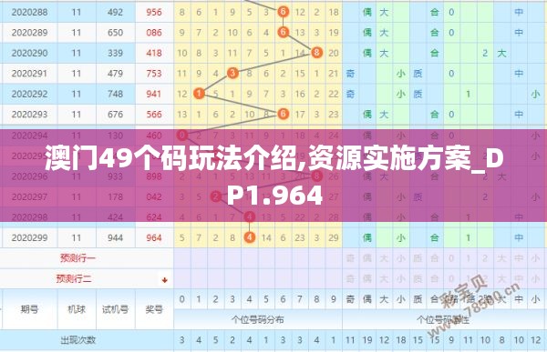 澳门49个码玩法介绍,资源实施方案_DP1.964