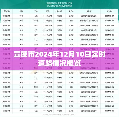 宣威市2024年12月10日道路实时状况概览