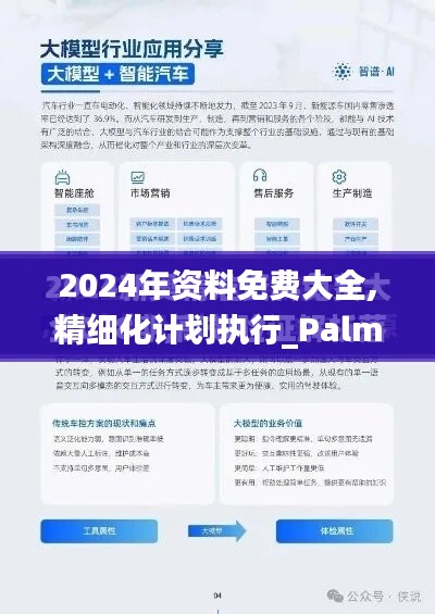 2024年资料免费大全,精细化计划执行_PalmOS8.989