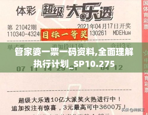 管家婆一票一码资料,全面理解执行计划_SP10.275