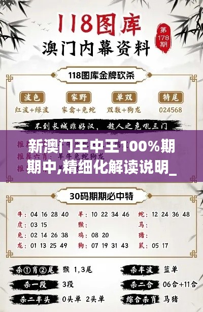 新澳门王中王100%期期中,精细化解读说明_户外版9.666