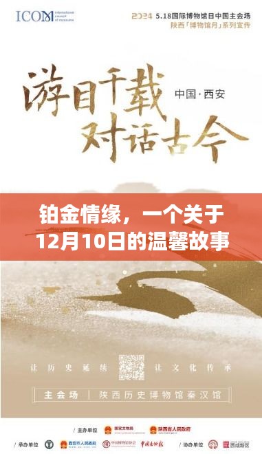 铂金情缘，一个关于爱的温馨故事在12月10日绽放