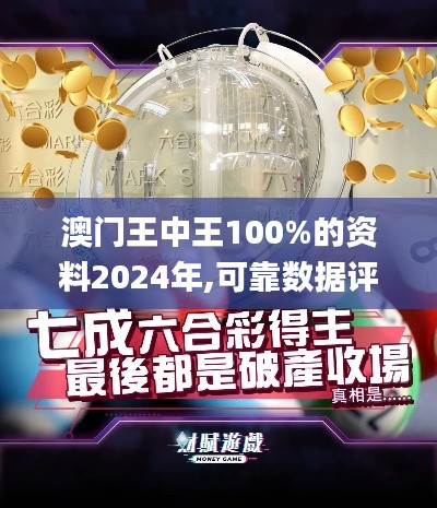 澳门王中王100%的资料2024年,可靠数据评估_扩展版6.169