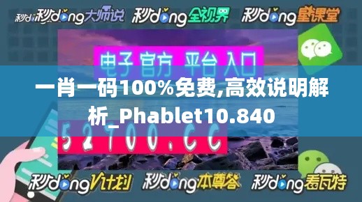 一肖一码100%免费,高效说明解析_Phablet10.840