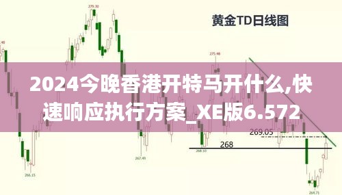 2024今晚香港开特马开什么,快速响应执行方案_XE版6.572