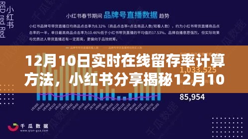 揭秘12月10日实时在线留存率计算方法，小红书分享助你轻松提升数据表现！