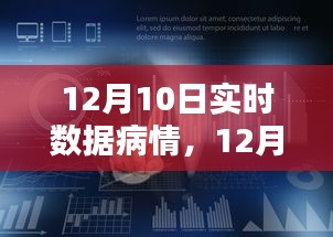 12月10日实时数据病情全面解析，产品评测、特性体验、竞品对比及用户群体深度分析