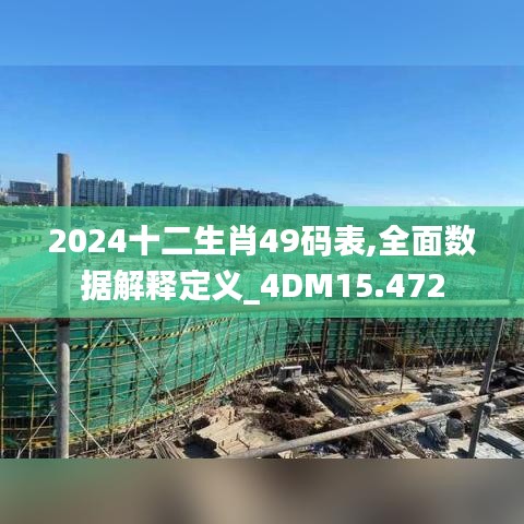 2024十二生肖49码表,全面数据解释定义_4DM15.472