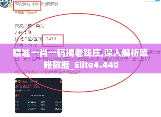 精准一肖一码揭老钱庄,深入解析策略数据_Elite4.440