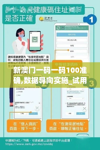 新澳门一码一码100准确,数据导向实施_试用版1.939