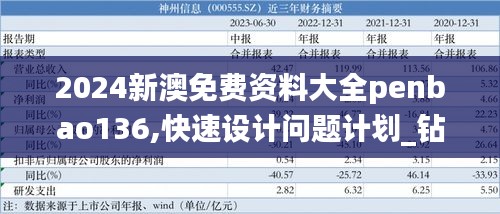 2024新澳免费资料大全penbao136,快速设计问题计划_钻石版15.339