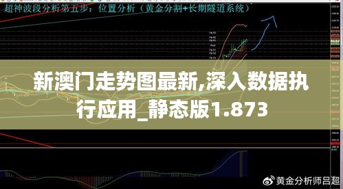 新澳门走势图最新,深入数据执行应用_静态版1.873