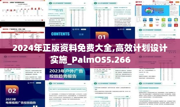 2024年正版资料免费大全,高效计划设计实施_PalmOS5.266